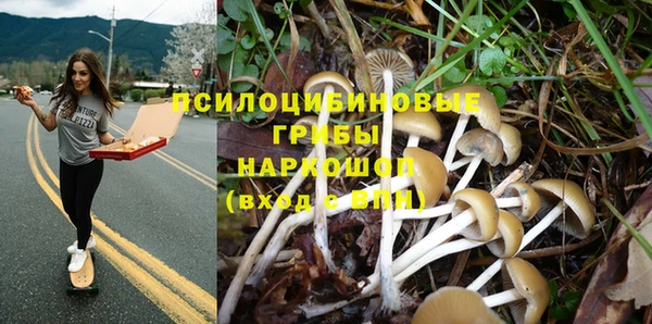 гашик Волосово