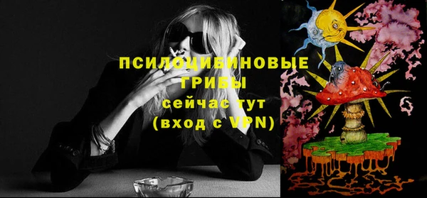 mdpv Володарск